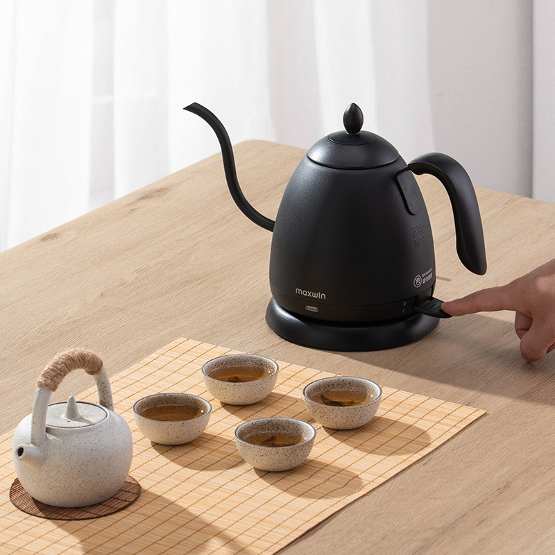 Czajnik elektryczny mini 600 m – Electric Kettle Gooseneck recenzja i cena