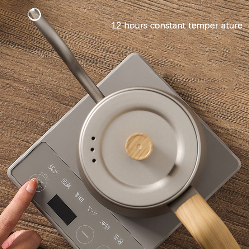 110v 220v czajnik czajniczek g – Electric Kettle Gooseneck recenzja i cena